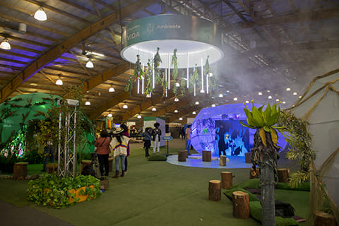 galería FIMA