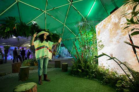 galería FIMA