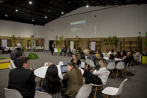 galería FIMA